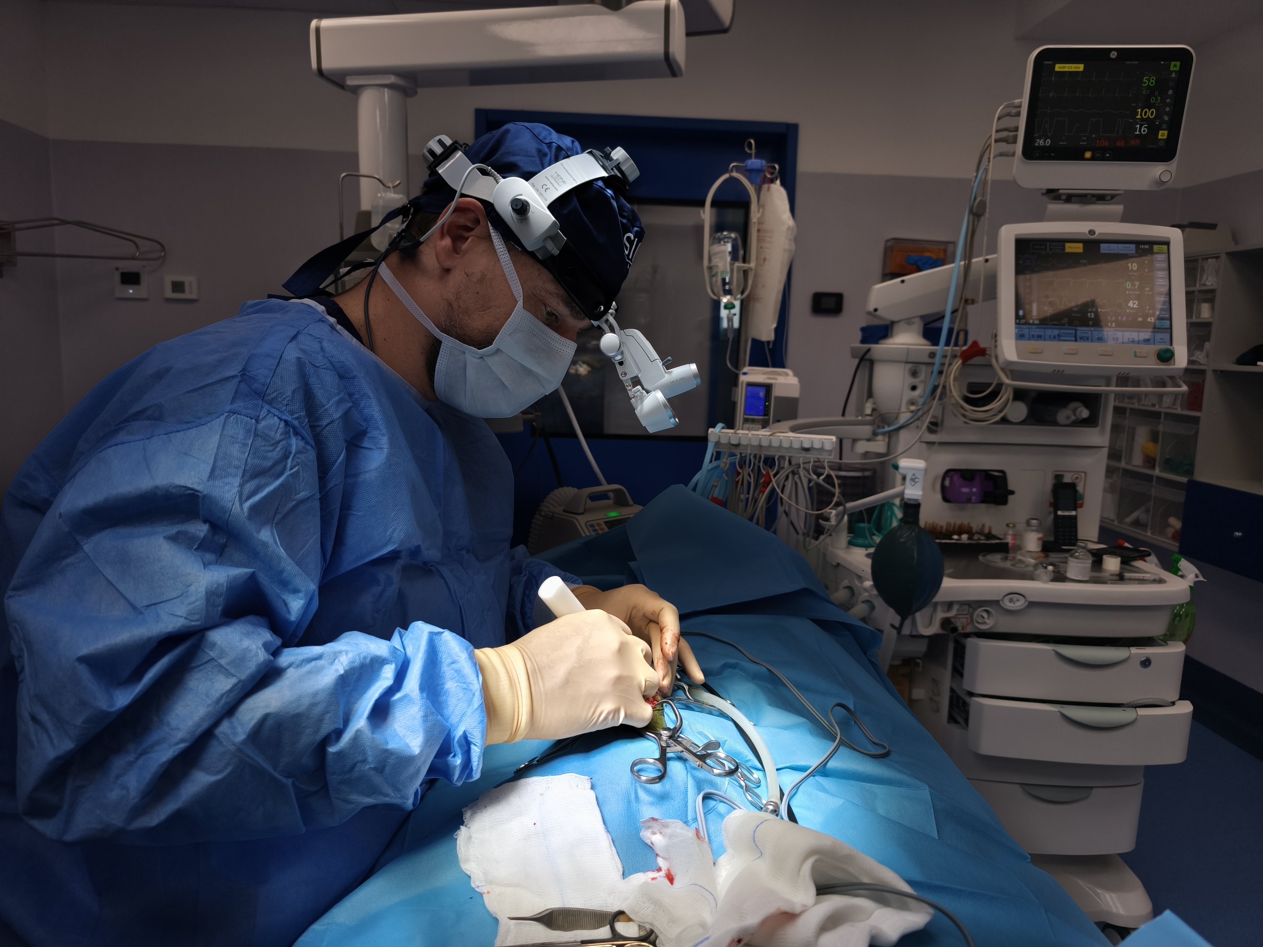 Dr. Wilson Lourenco em procedimento cirúrgico veterinário.
